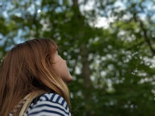 A young person looking up at a canopy of woodland trees