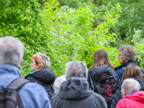 A group of people, wearing walking gear, walking amongst green leafed trees