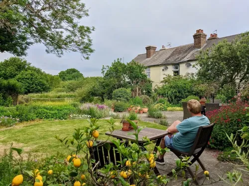 A person sat on a garden chair in a garden, with lemons in the foreground.