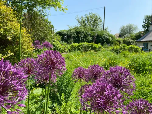Our beautiful farmhouse garden out in full bloom during summer 
