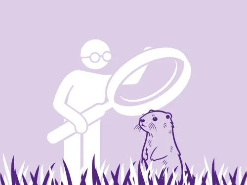 A person with a magnifying glass observing an otter