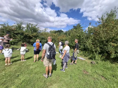 people gathered around on grass 