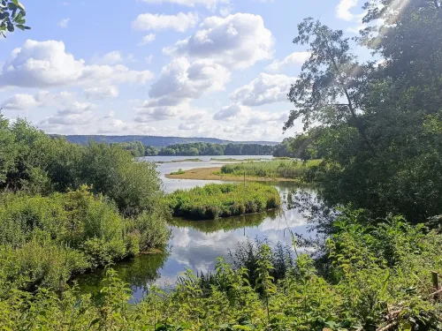 The view across the lakes at Sevenoaks Wildlife Reserve in summer.