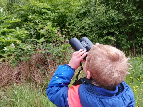 Wilder Schools - Hoath