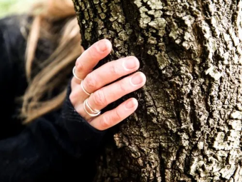 Hand touching a tree
