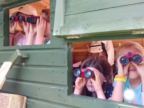 Four children look through the hatches in a bird hide, looking through binoculars.