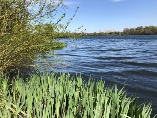 Sevenoaks Wildlife Reserve lake