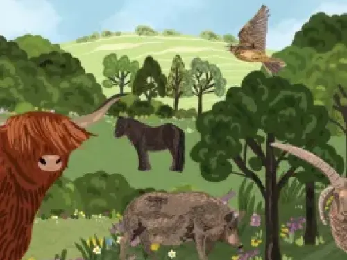 Amazing Grazing banner