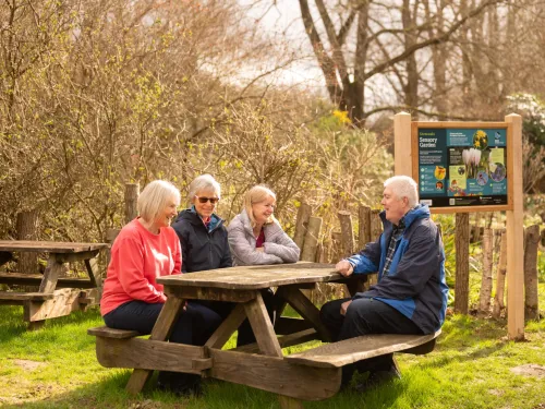 people gathered around bench in the sun
