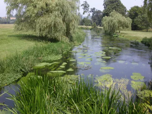 Great Stour at Godmersham