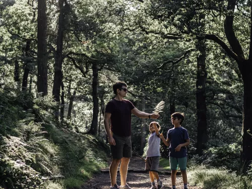 family in woodland 