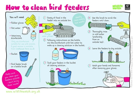 How To Clean Nestboxes And Bird Feeders Kent Wildlife Trust