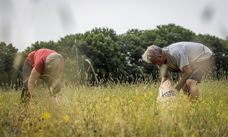 Marden wildlife group in field