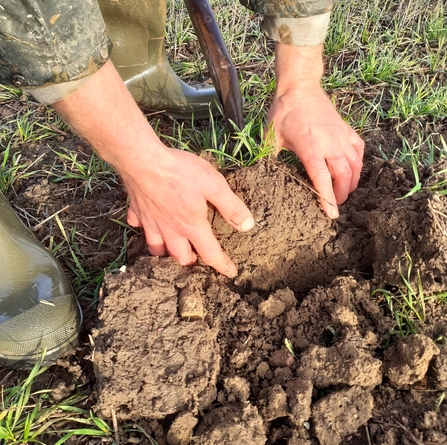 Co Op Carbon regenerative agriculture hands in mud
