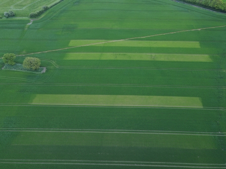 drone photo from bockhanger farms as part of co op carbon regen agriculture trial