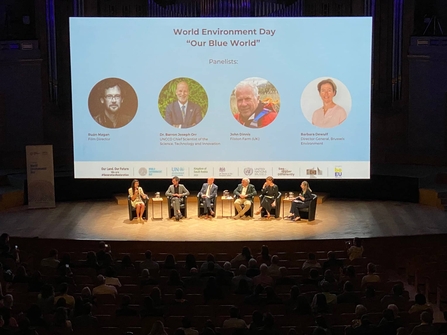 Panelists on stage at the Brussels World Environment Day event.
