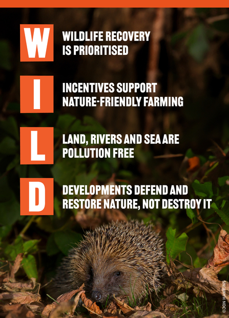 W - Wildlife recovery is prioritized, I - Incentives for Nature Friendly Farming, L - Land rovers and sea are pollution free, D - developments defend and restore nature, not destroy it