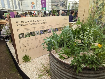 A kitchen garden with wildflowers at Chelsea Flower Show