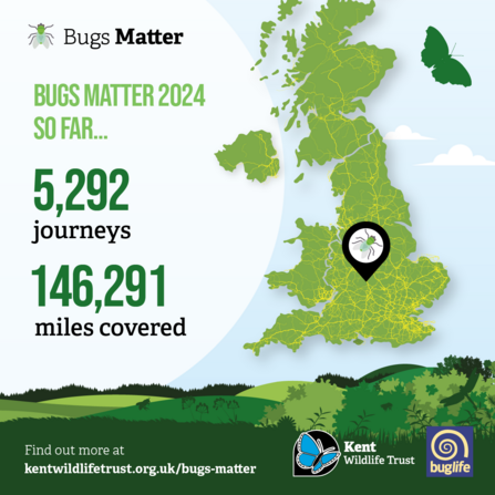 Bugs Matter 2024 mid way graphic journeys and miles