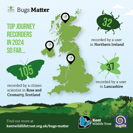 Bugs Matter 2024 mid way graphic number of journeys top recorders