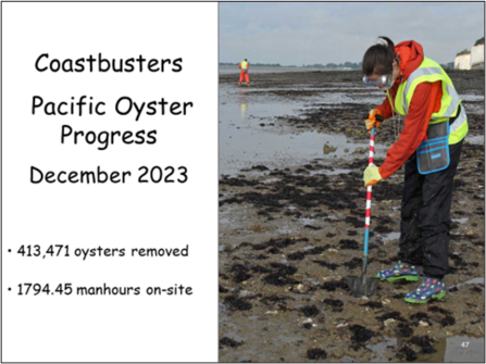 Coastbusters results showing 413,471 oysters removed and 1794.45 man hours on-site.