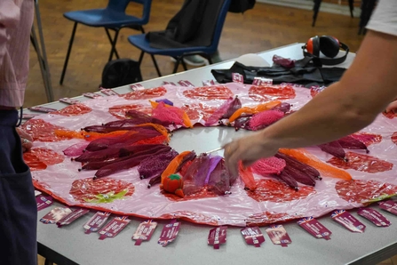 A variety of plastic waste being arranged and sewn in a circle like a skirt.