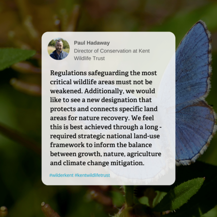 Paul Hadaway quote, like a tweet, about planning reform.
