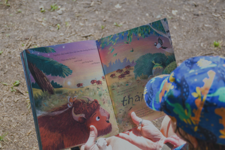 Bison and butterfly book with a dark contrast overlay