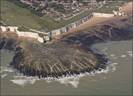 Coastal chalk erosion including cliff, cave, stack, arch and chalk reef platform. Whiteness, Broadstairs.