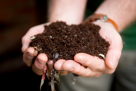 Two hands holding peat-free compost.