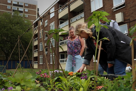 Two people standing over raised beds filled with flowers and vegetables in front of a block of flats.