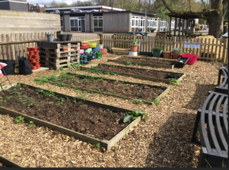 The Gardening Area at Anthony Roper