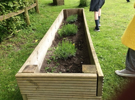 A raised planter at Shoreham school