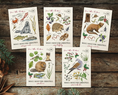 A selection of 5 Kent Wildlife Trust Christmas cards