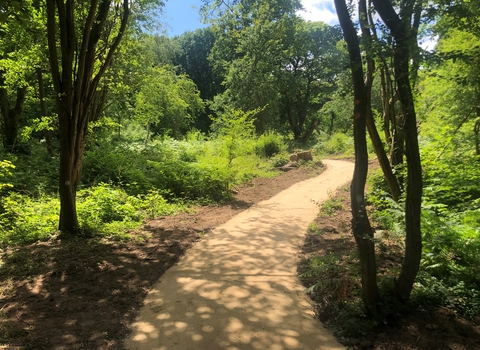 A sunny view between two trees looking along part of the new accessible footpath at the Hothfield woodland triangle