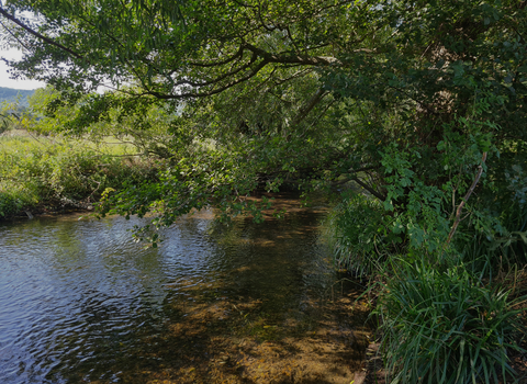 The Darent Valley River